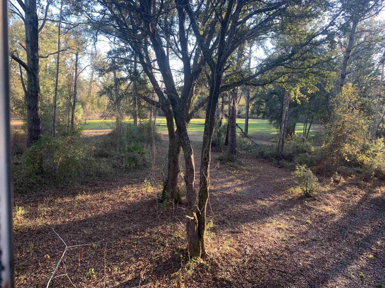 1701 SW Moseley Hall Road , Madison, FL 32340 Photo