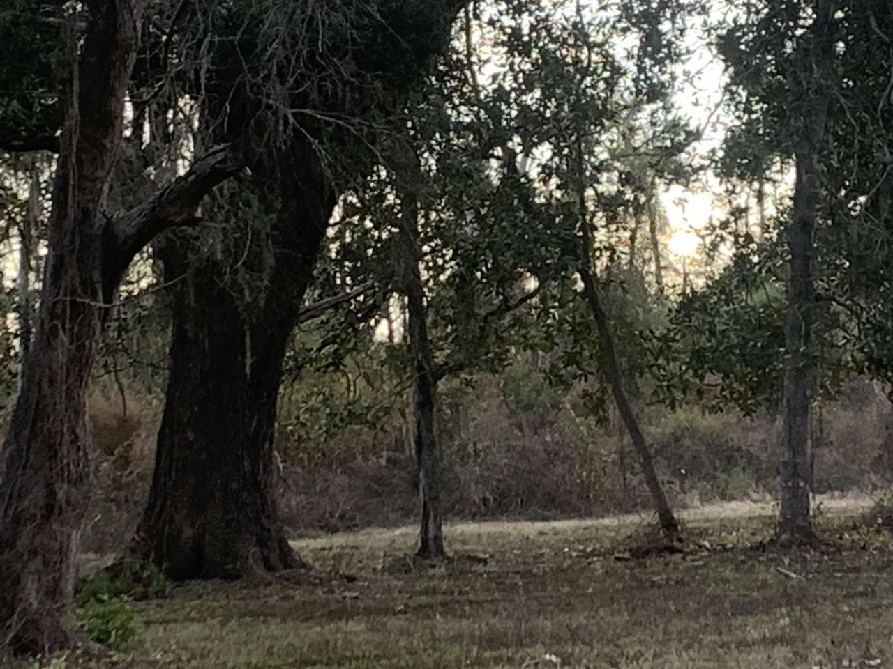 1701 SW Moseley Hall Road , Madison, FL 32340 Photo