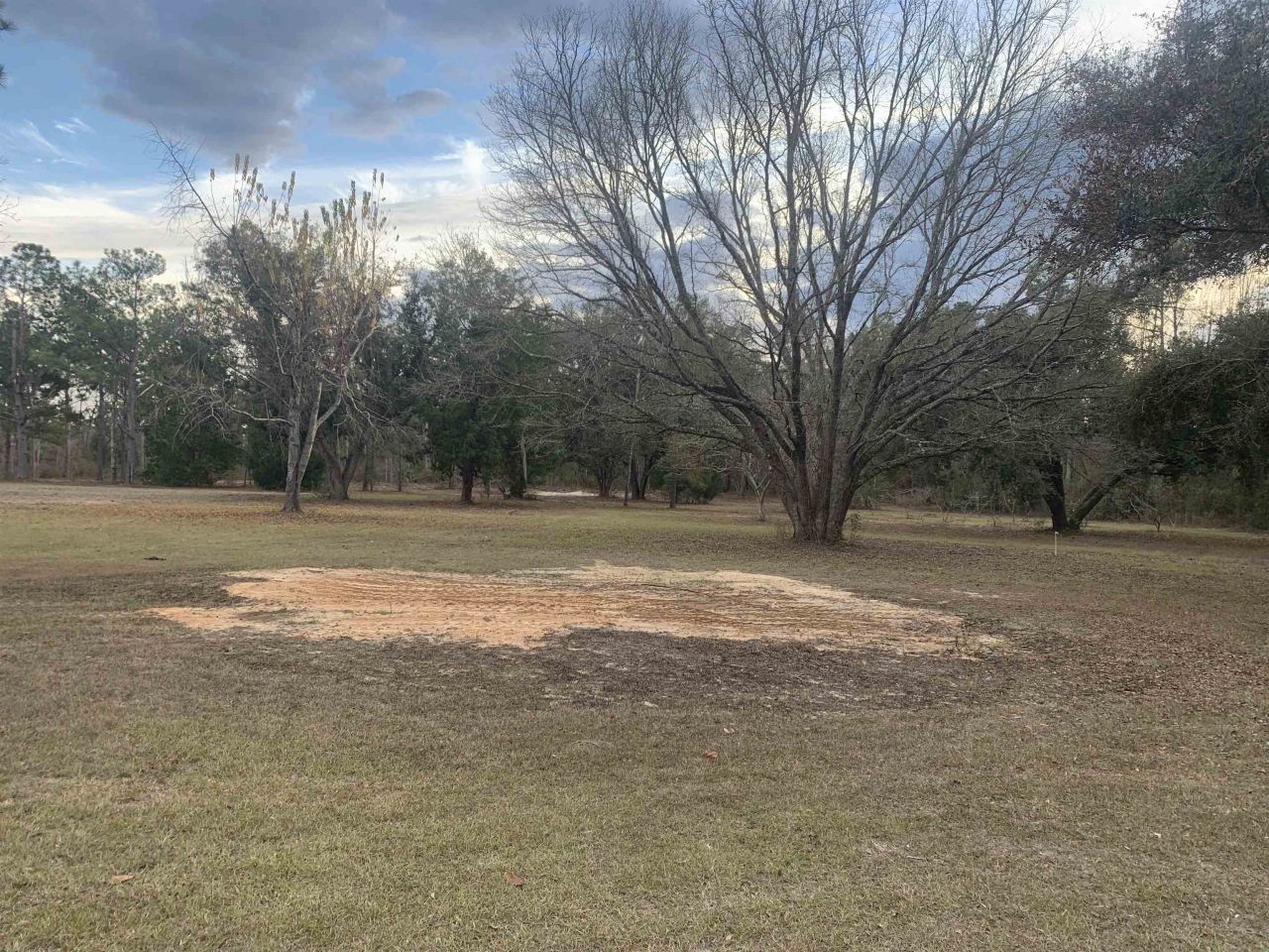 1701 SW Moseley Hall Road , Madison, FL 32340 Photo