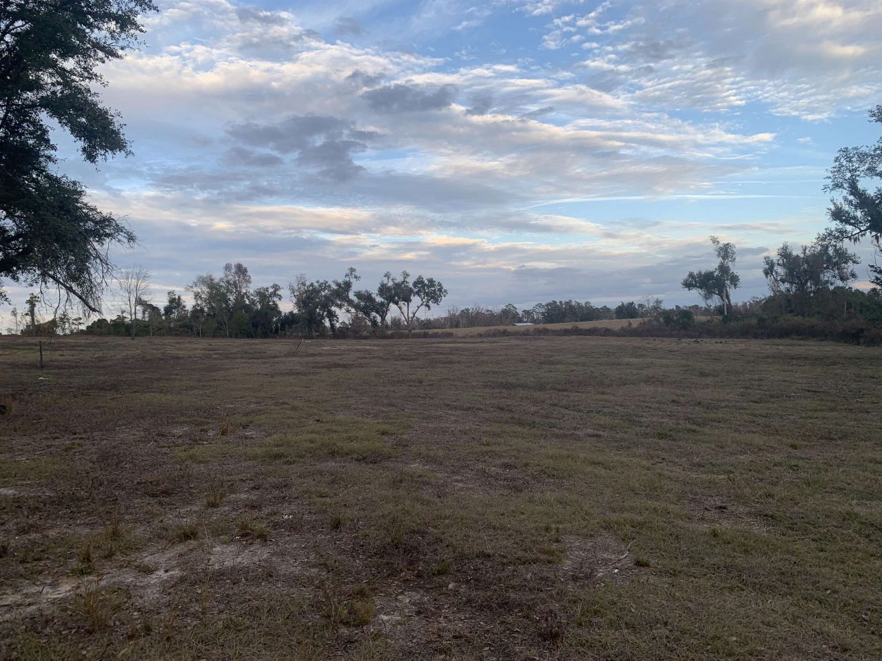 1701 SW Moseley Hall Road , Madison, FL 32340 Photo