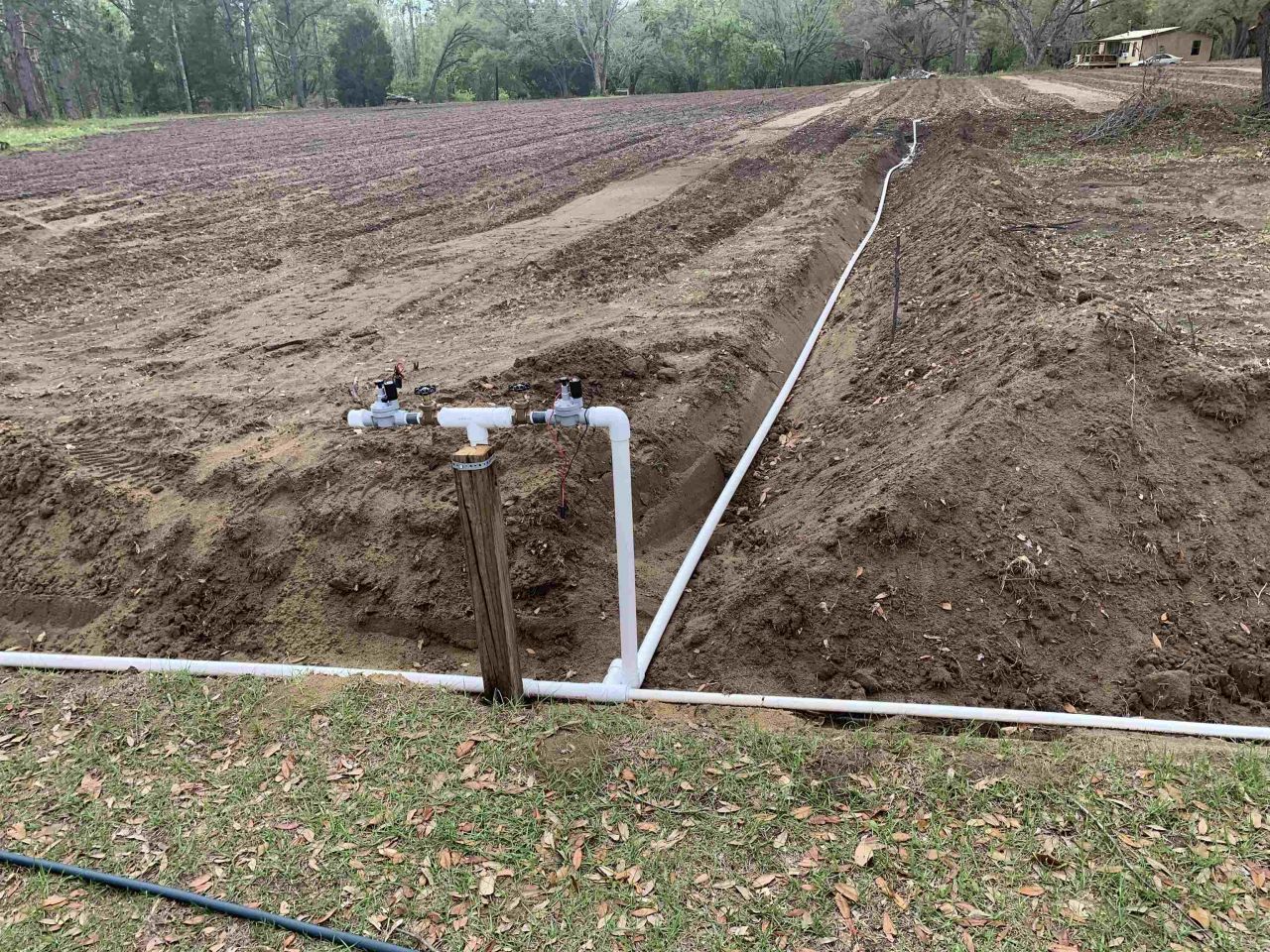 1701 SW Moseley Hall Road , Madison, FL 32340 Photo