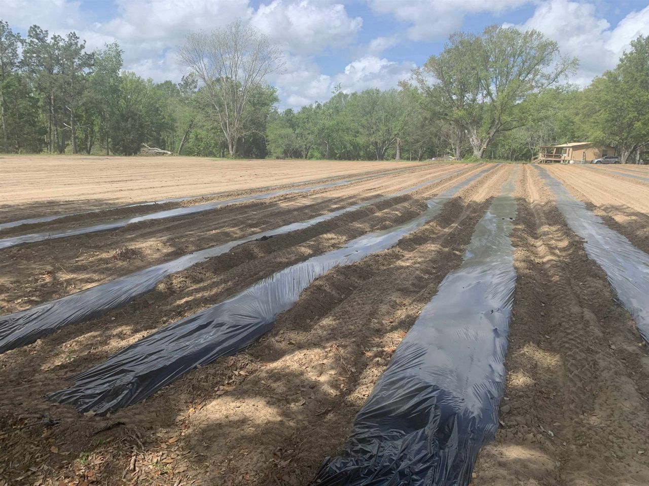 1701 SW Moseley Hall Road , Madison, FL 32340 Photo