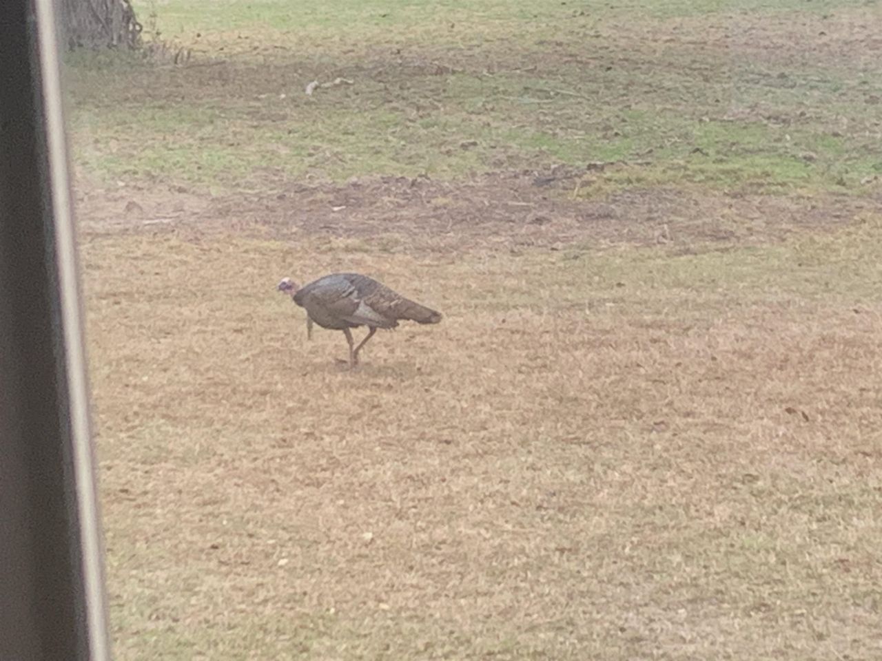 1701 SW Moseley Hall Road , Madison, FL 32340 Photo