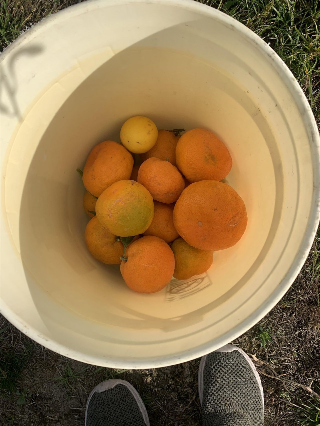 1701 SW Moseley Hall Road , Madison, FL 32340 Photo