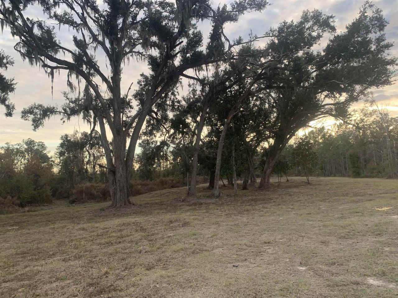 1701 SW Moseley Hall Road , Madison, FL 32340 Photo