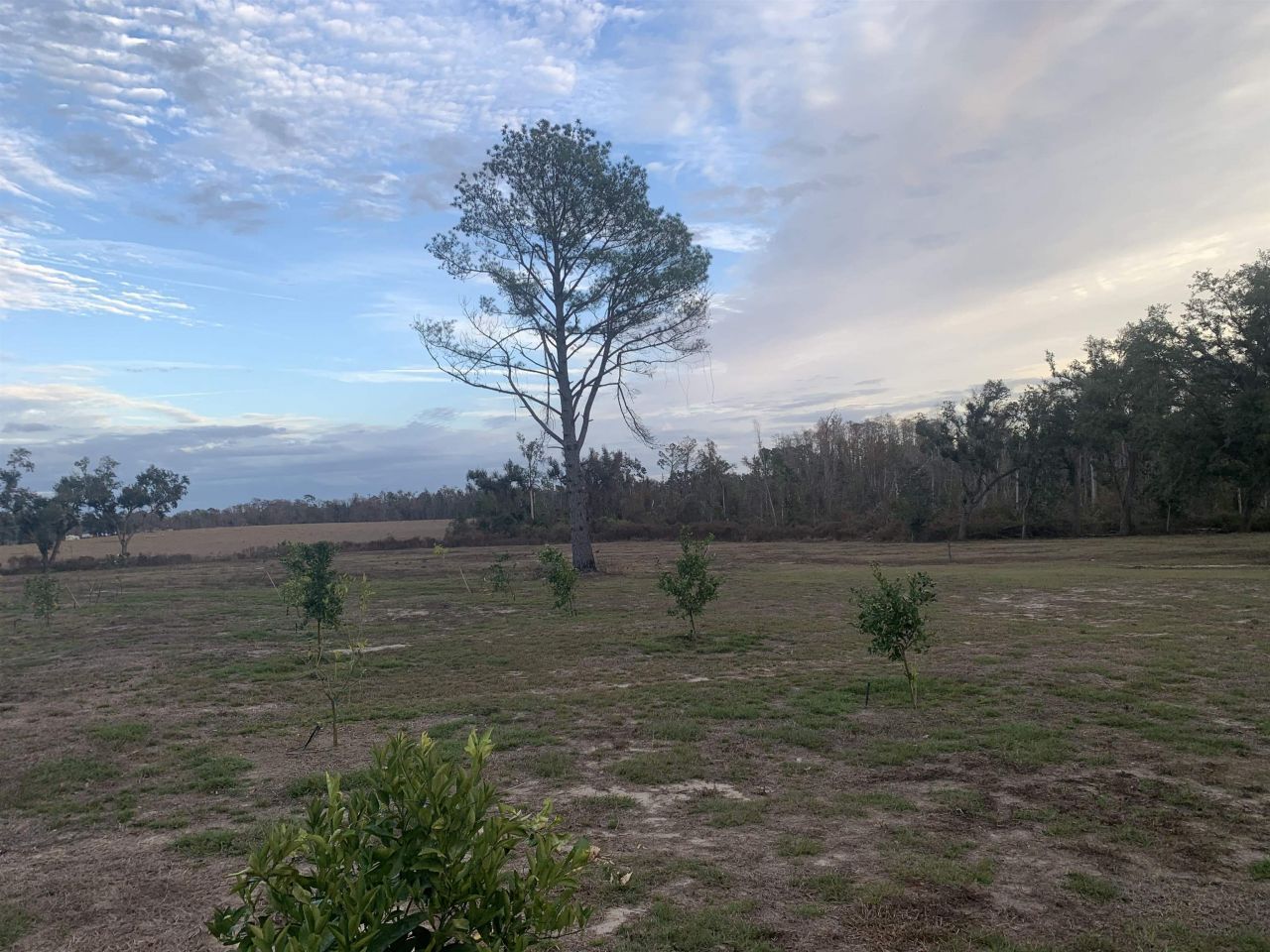 1701 SW Moseley Hall Road , Madison, FL 32340 Photo