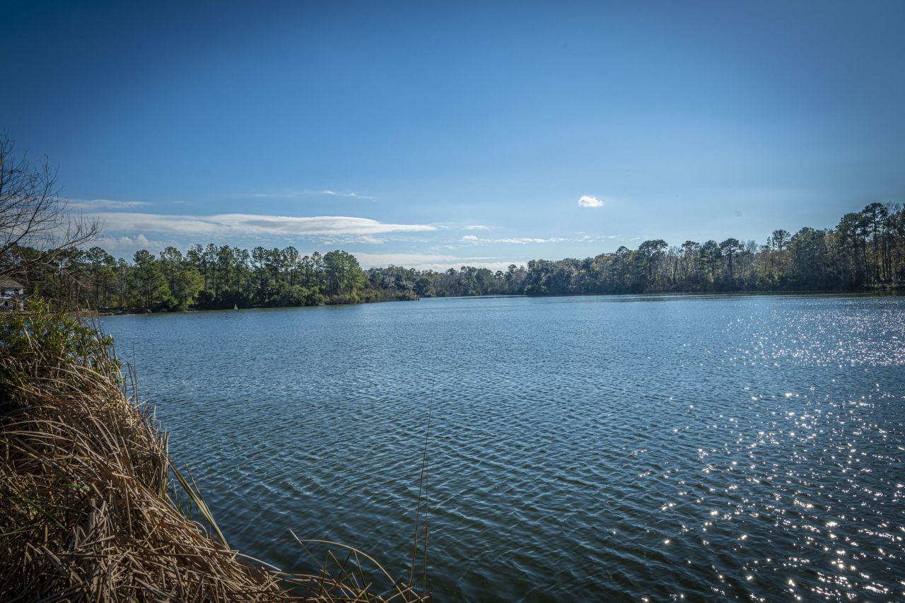 2750 Sunrose Lane Photo 61