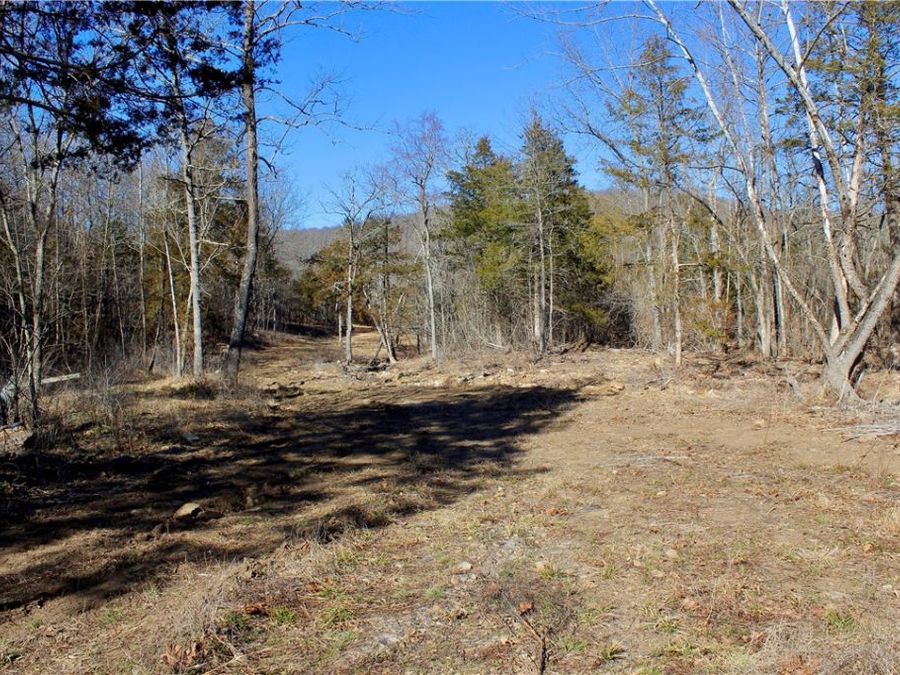 Property Image 17