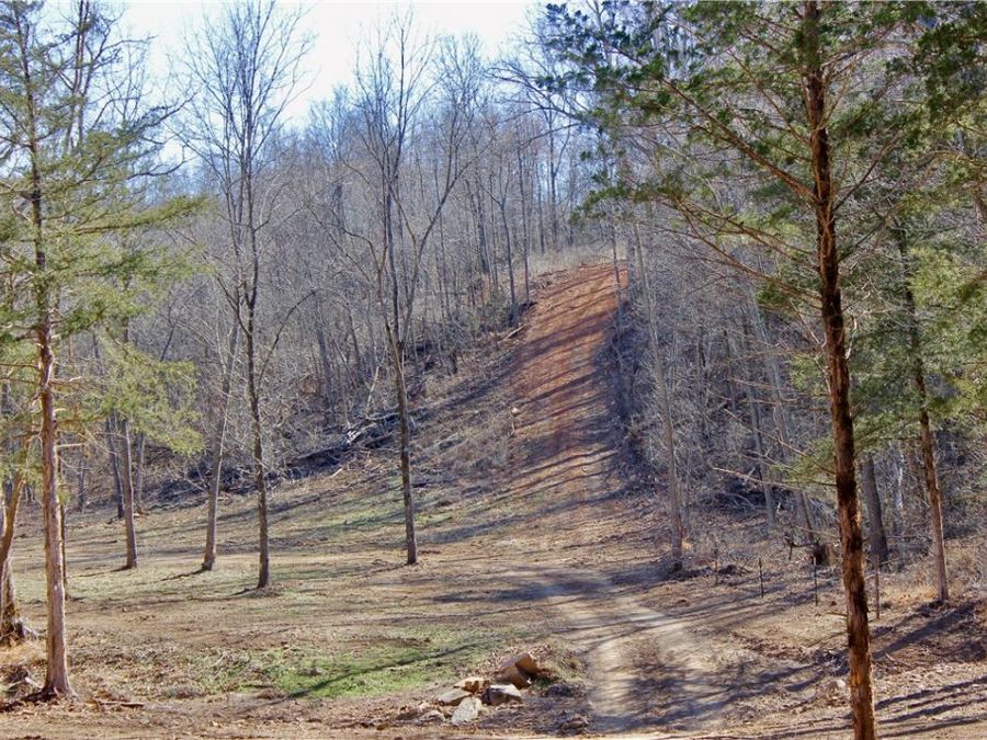 Property Image 7