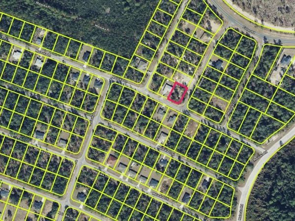 0 MALAUKA LANE , OCKLAWAHA, FL 32179