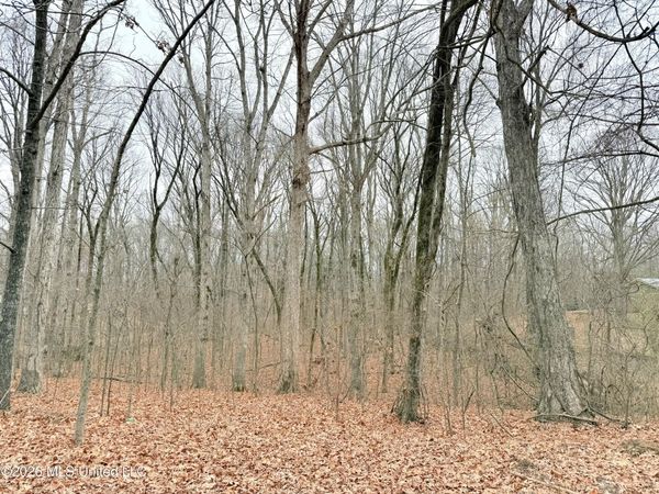 Pioneer Village Road, Senatobia, MS 38668