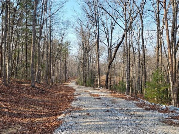 2936 Leatherwood Ford Rd, Jamestown, TN 38556