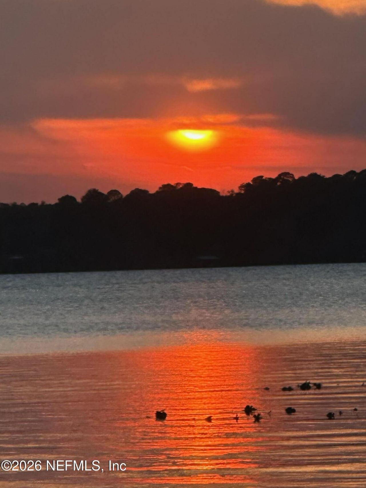 108 Maple Terrace, Florahome, FL 32140 Photo