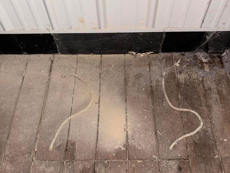 9120 Shady Lane, Blue Rock, OH 43720 Photo 40