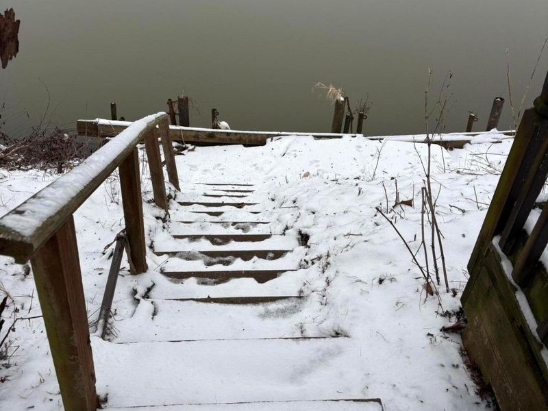 9120 Shady Lane, Blue Rock, OH 43720 Photo 50