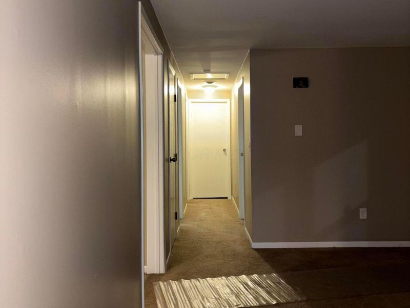 9120 Shady Lane, Blue Rock, OH 43720 Photo 7