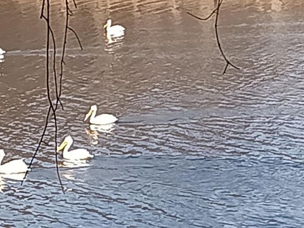 N4568 County Road N, Arkansaw, WI 54721