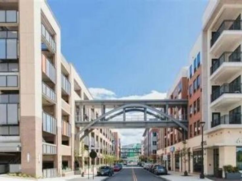 295 Beckley Lane, Dublin, OH 43017 Photo 54