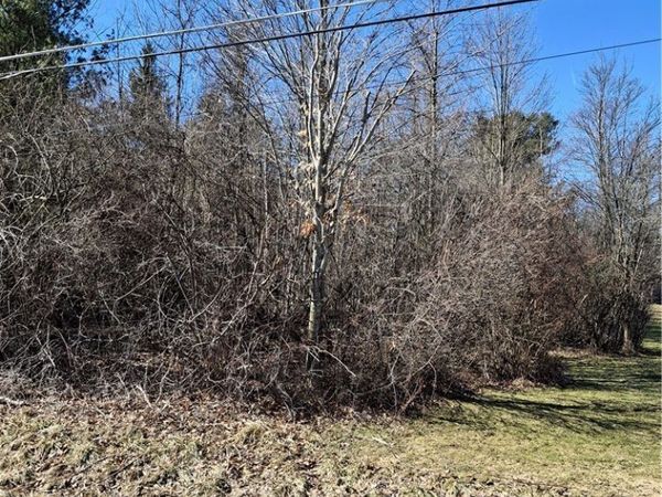 Ballash Road, Medina, OH 44256