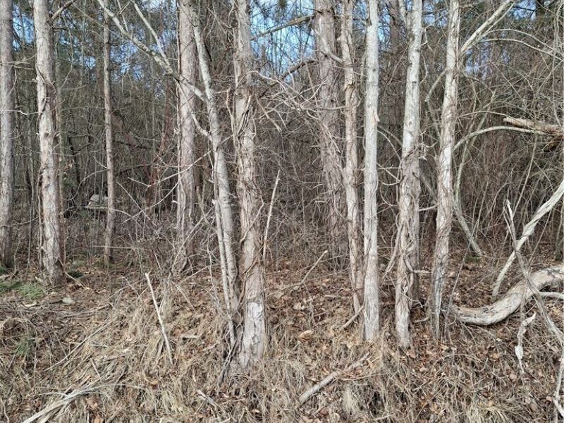 Ballash Road, Medina, OH 44256 Photo 2