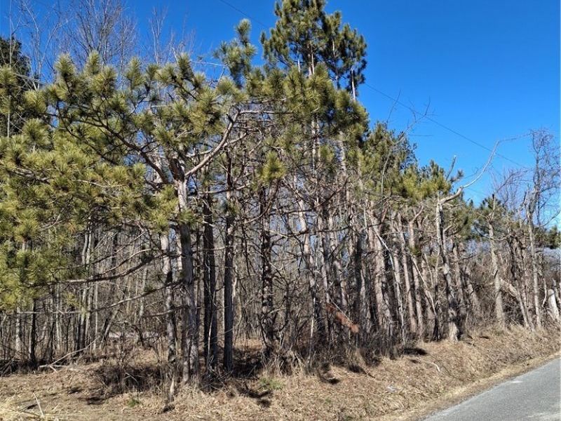 Ballash Road, Medina, OH 44256 Photo 3