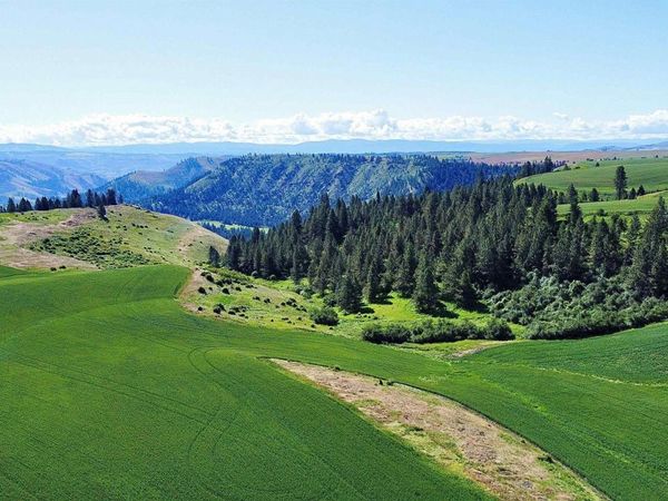 TBD Basket Rd Parcel 1, Nezperce, ID 83543