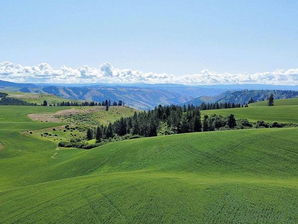 TBD Basket Rd, Nezperce, ID 83543