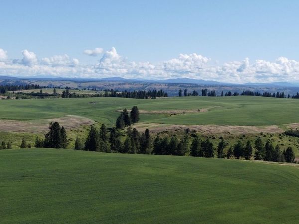 TBD Basket Rd Parcel 2, Nezperce, ID 83543