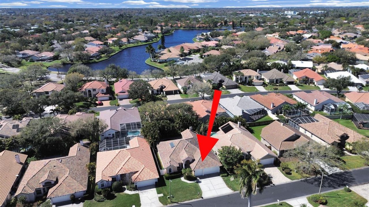 4833 Windmill Palm Terrace Ne, Saint Petersburg, FL 33703 Photo