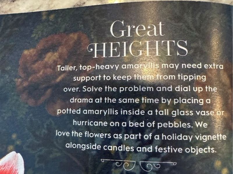 374 Tenney Avenue, Youngstown, OH 44405 Photo 13