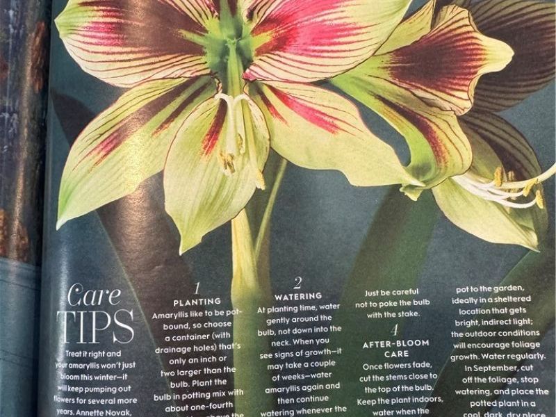 374 Tenney Avenue, Youngstown, OH 44405 Photo 14