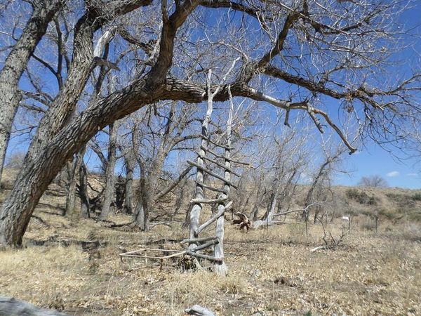 62415 E Highway 96, Boone, CO 81025