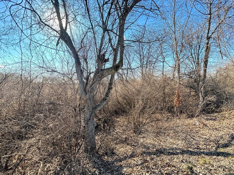 12000 Old Lexington Pike, Walton, KY 41094 Photo 10