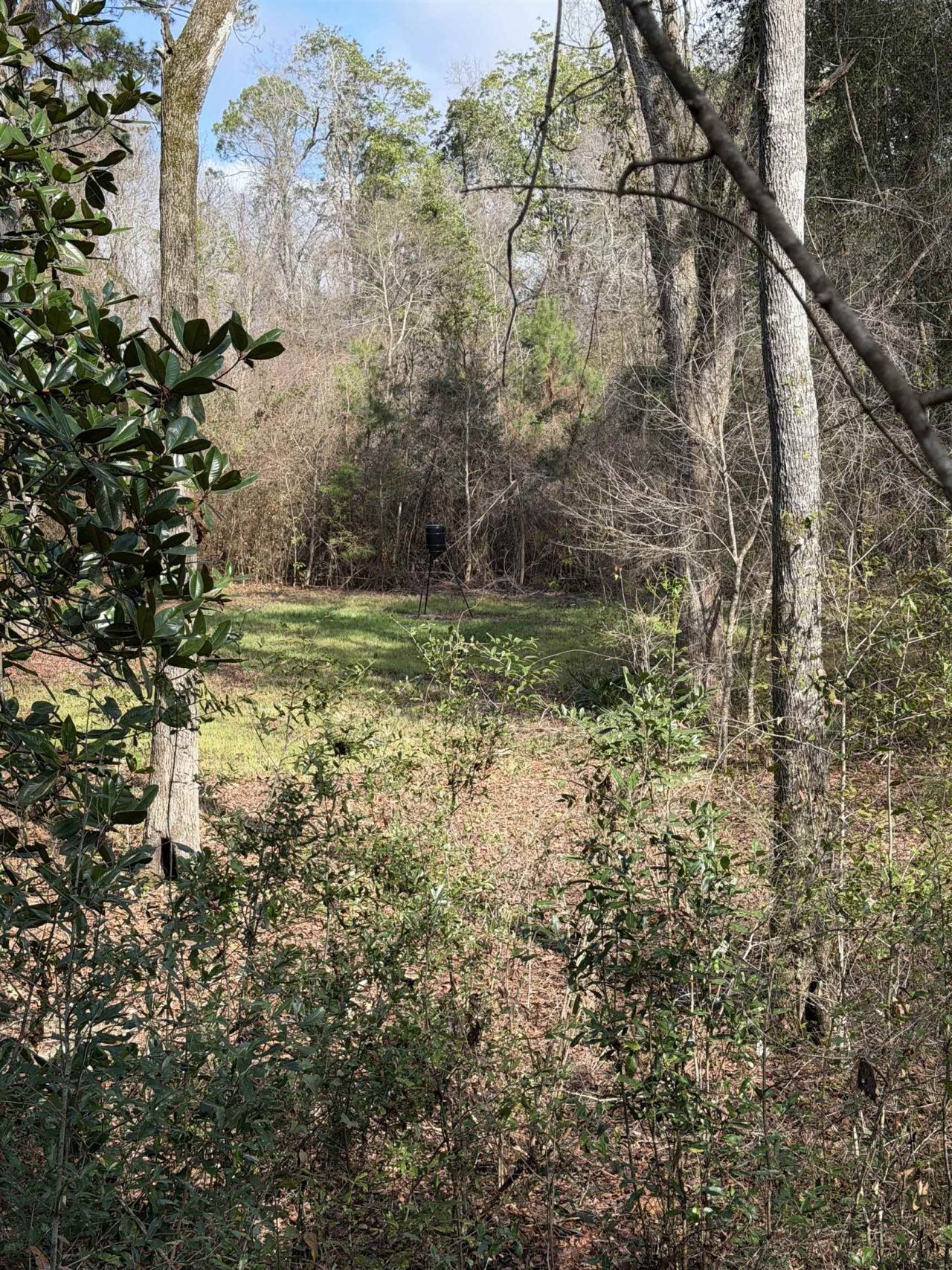 Xxx Shady Rest Road, Havana, FL 32333 Photo