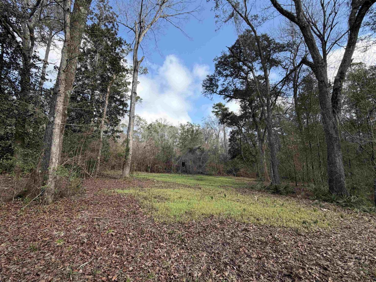 Xxx Shady Rest Road, Havana, FL 32333 Photo