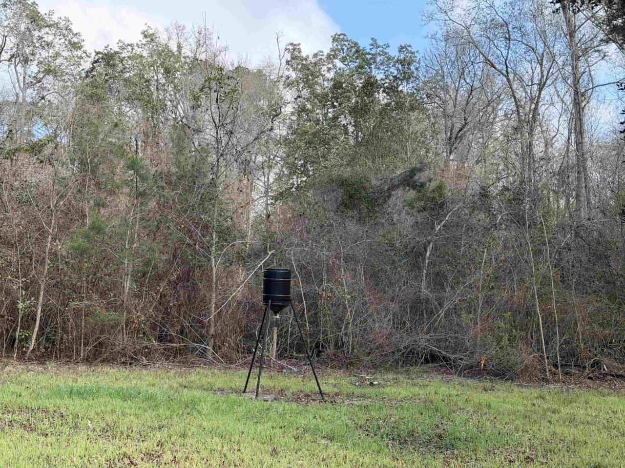 Xxx Shady Rest Road, Havana, FL 32333 Photo