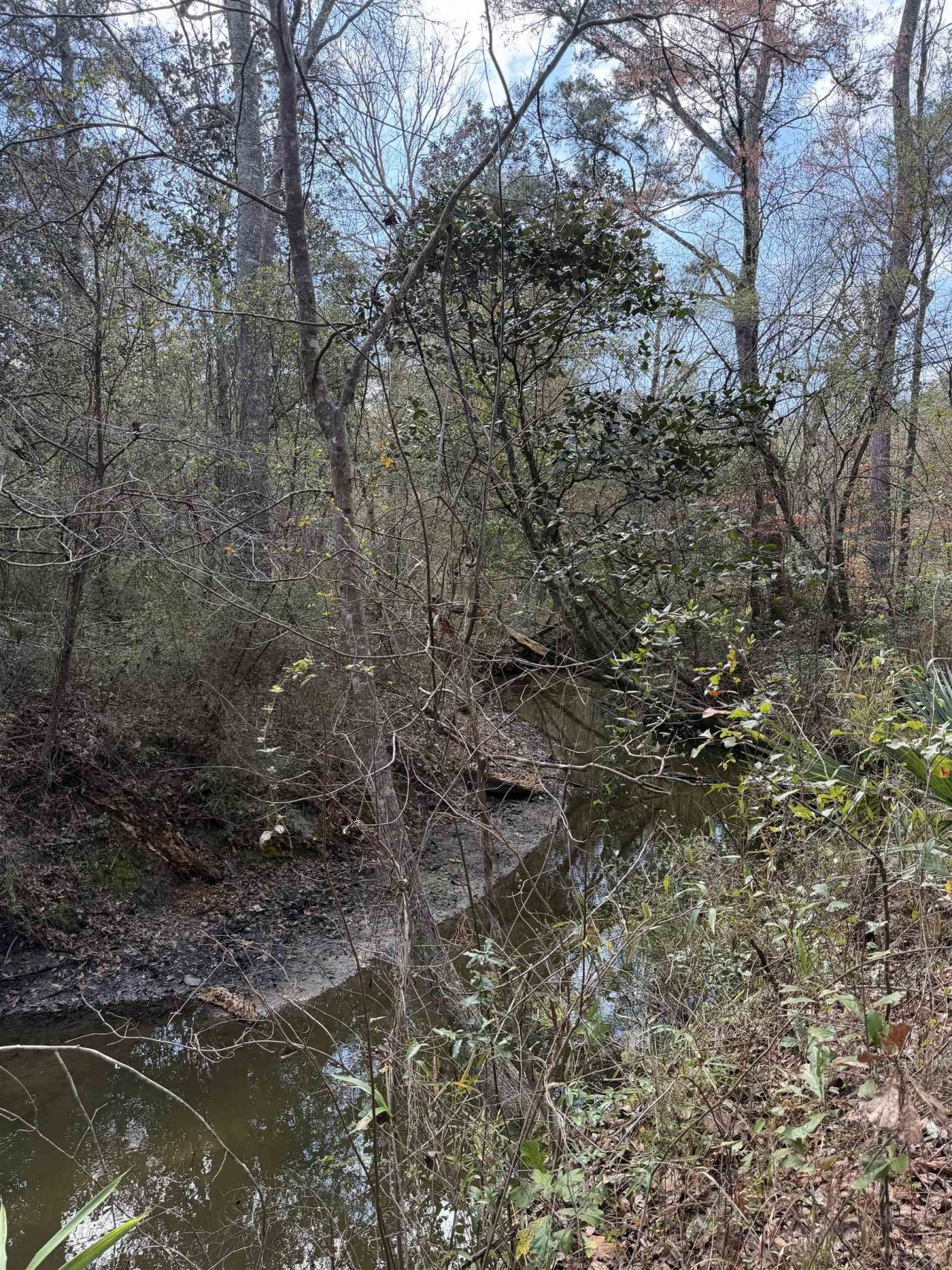 Xxx Shady Rest Road, Havana, FL 32333 Photo