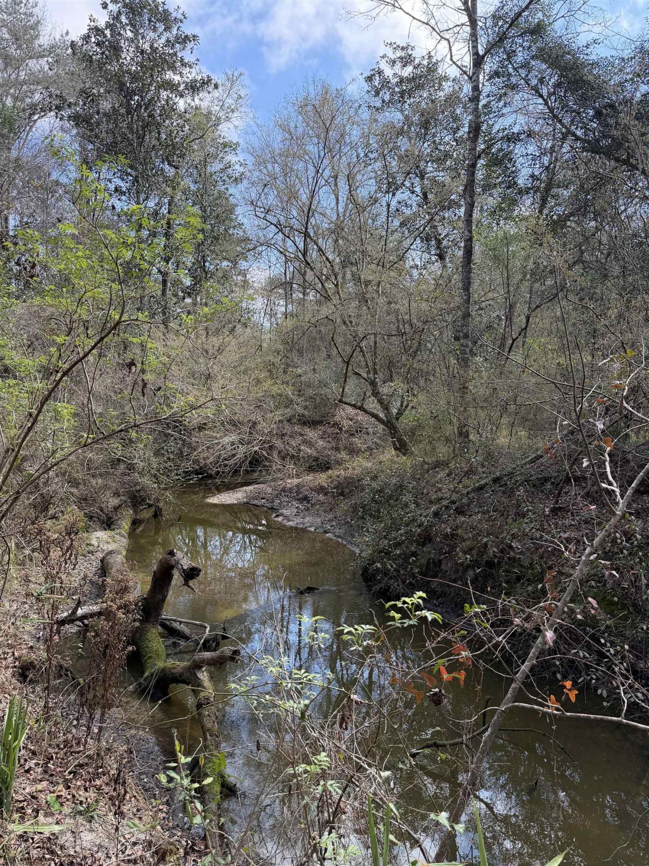 Xxx Shady Rest Road, Havana, FL 32333 Photo