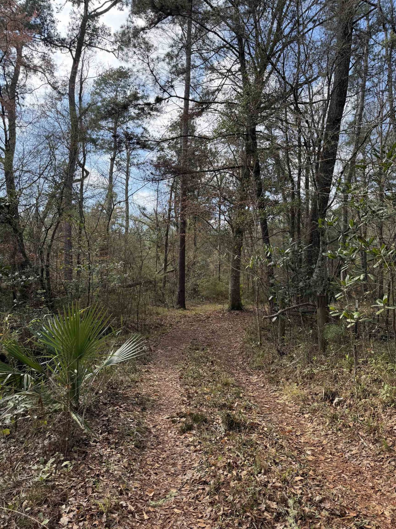 Xxx Shady Rest Road, Havana, FL 32333 Photo