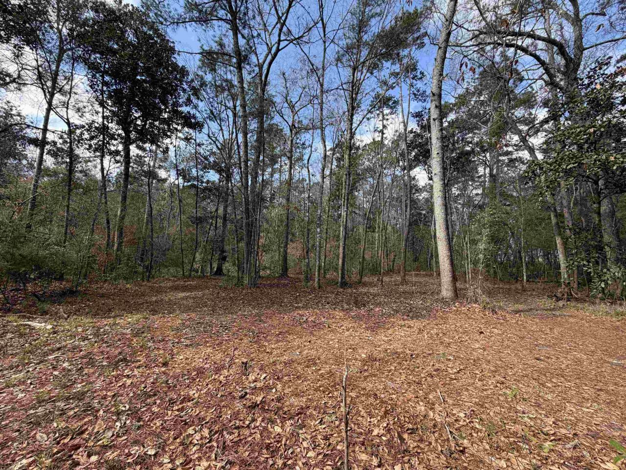 Xxx Shady Rest Road, Havana, FL 32333 Photo