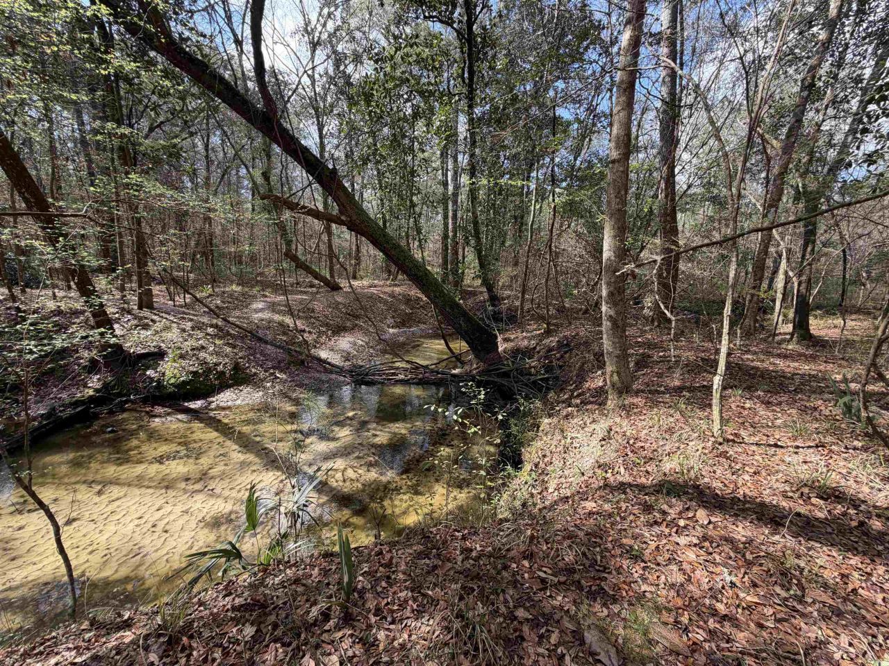 Xxx Shady Rest Road, Havana, FL 32333 Photo