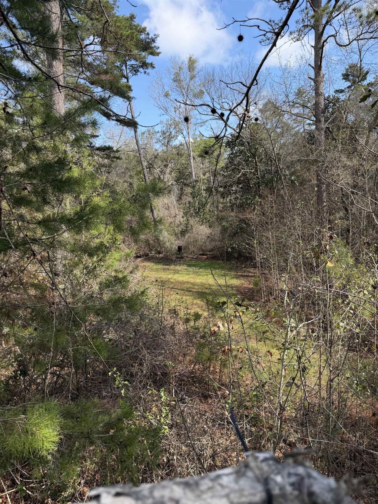 Xxx Shady Rest Road, Havana, FL 32333 Photo