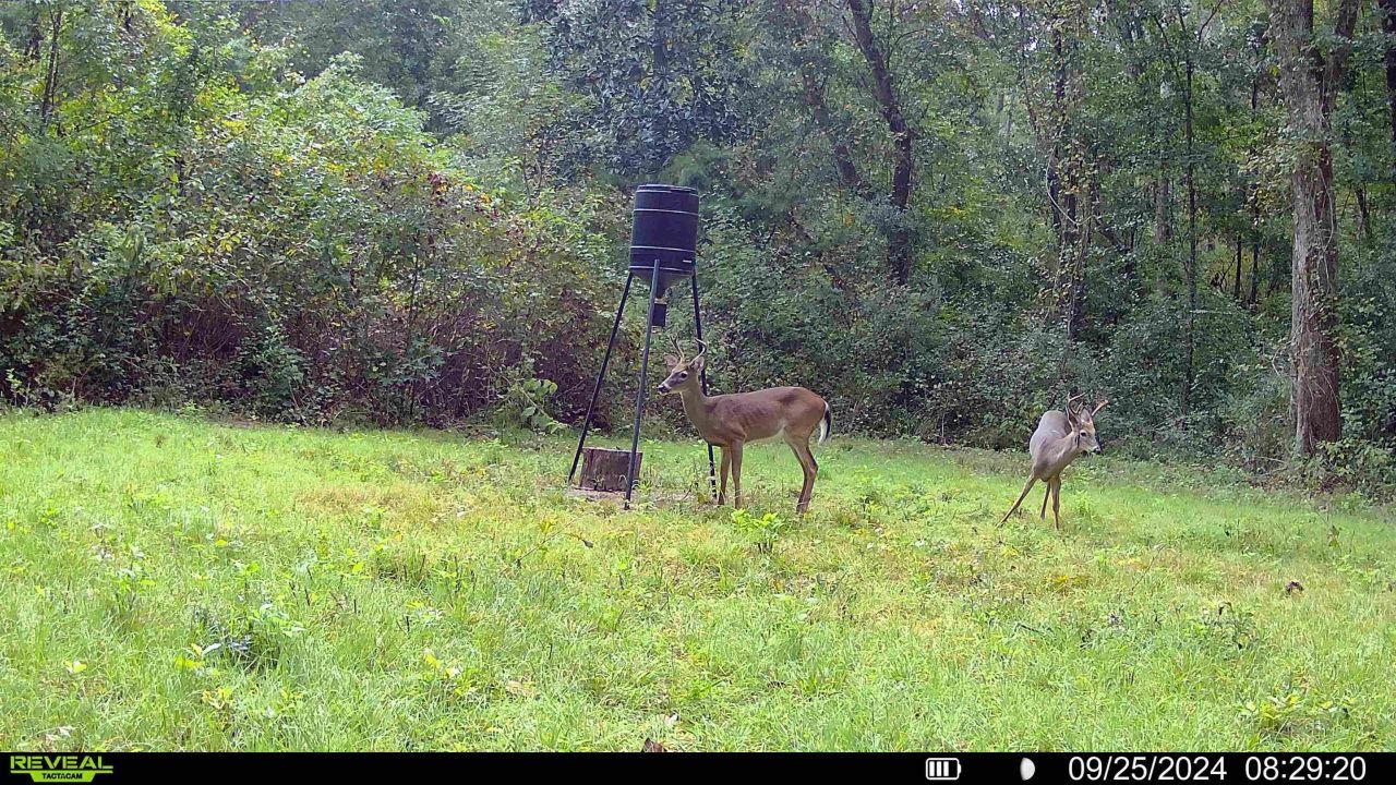 Xxx Shady Rest Road, Havana, FL 32333 Photo