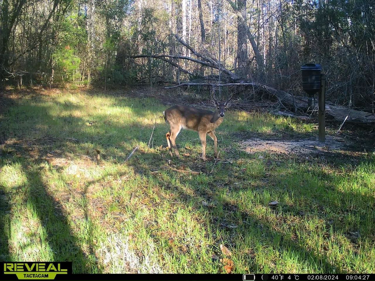 Xxx Shady Rest Road, Havana, FL 32333 Photo