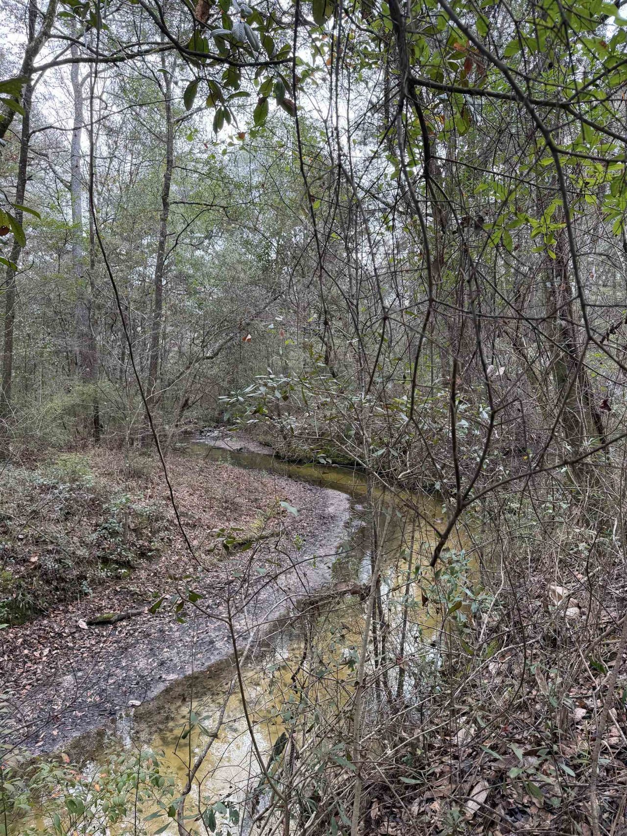 Xxx Shady Rest Road, Havana, FL 32333 Photo