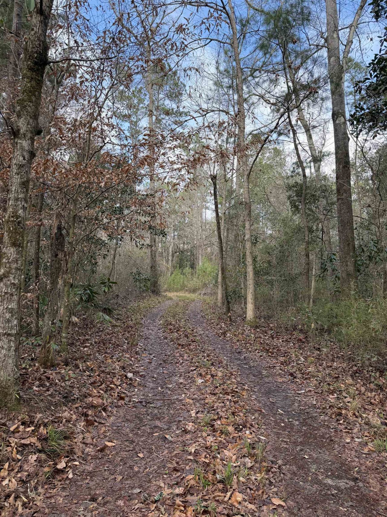 Xxx Shady Rest Road, Havana, FL 32333 Photo