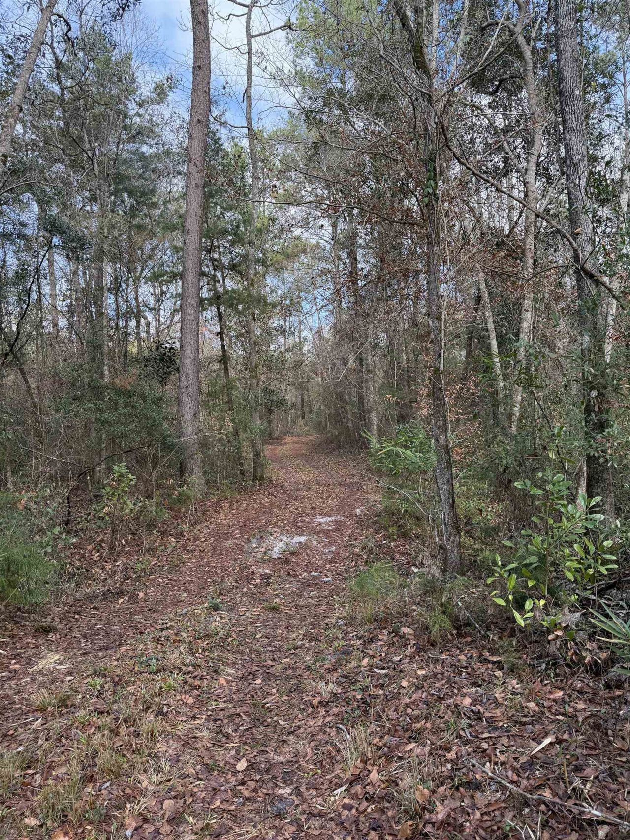 Xxx Shady Rest Road, Havana, FL 32333 Photo