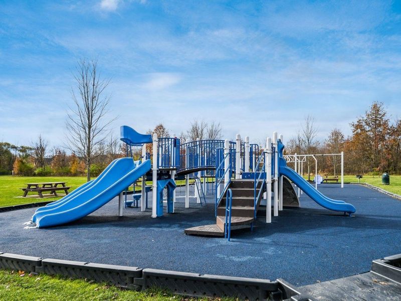 8118 Saybrook Drive, Westerville, OH 43082 Photo 51