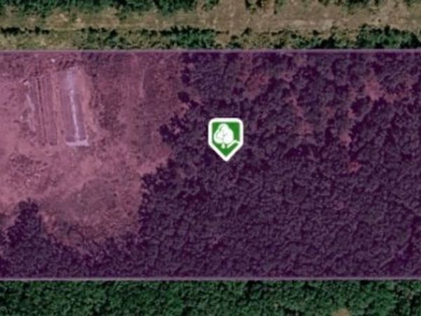 21506 E County Road 1190 , Keota, OK 74941