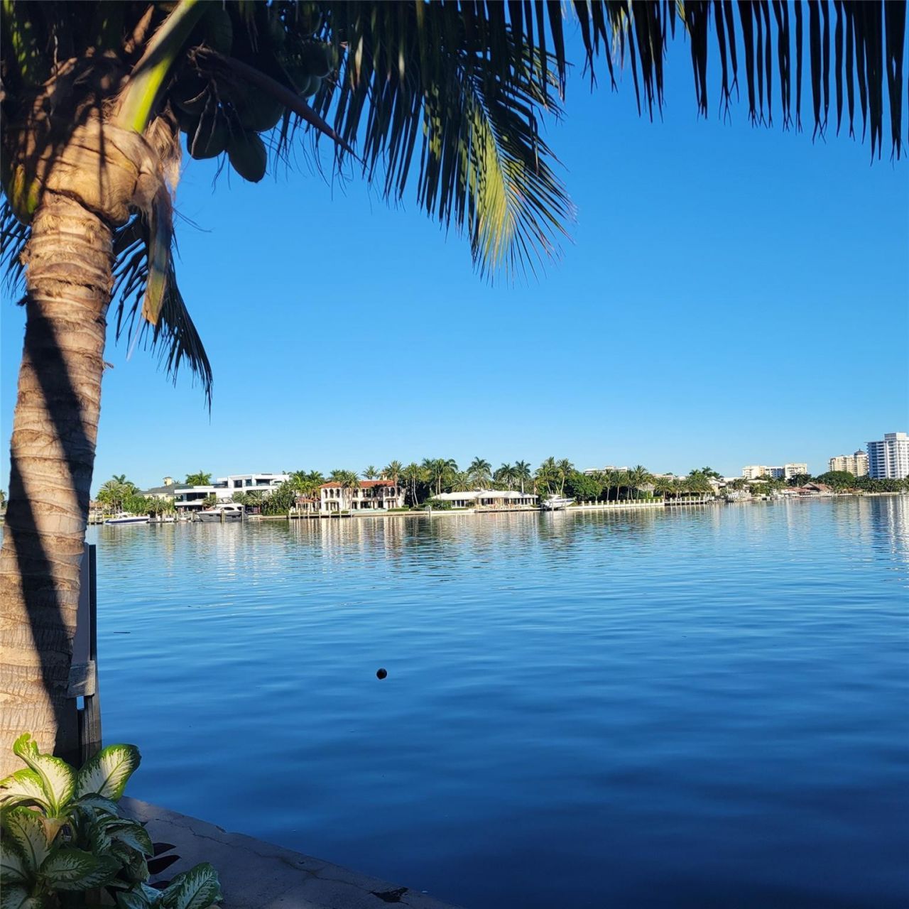 2617 Aqua Vista Boulevard, Fort Lauderdale, FL 33301 Photo